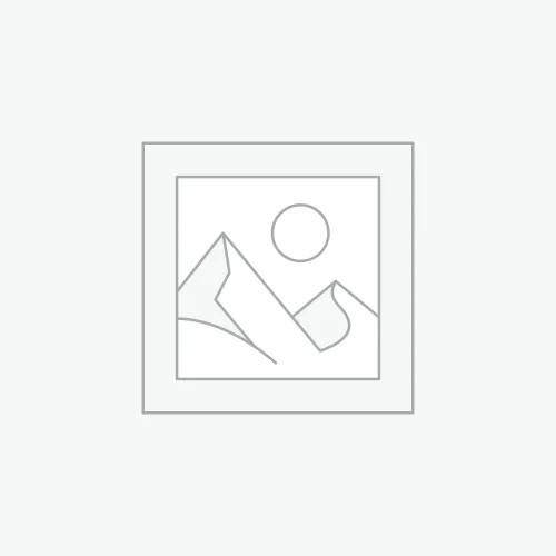 Bold Floral Velvet Cushion Cover